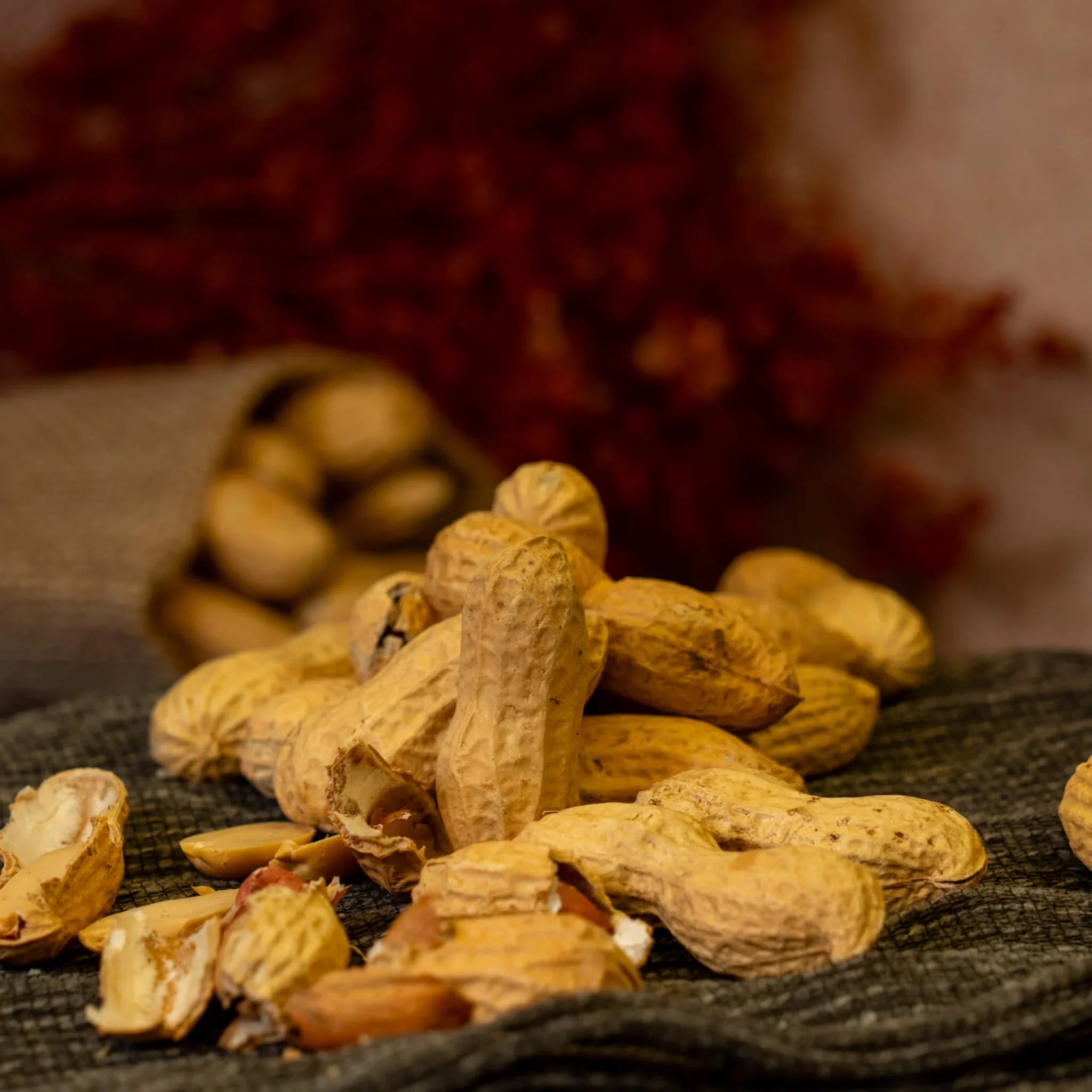 Kabuklu Yer Fıstığı - Çakır Çerez