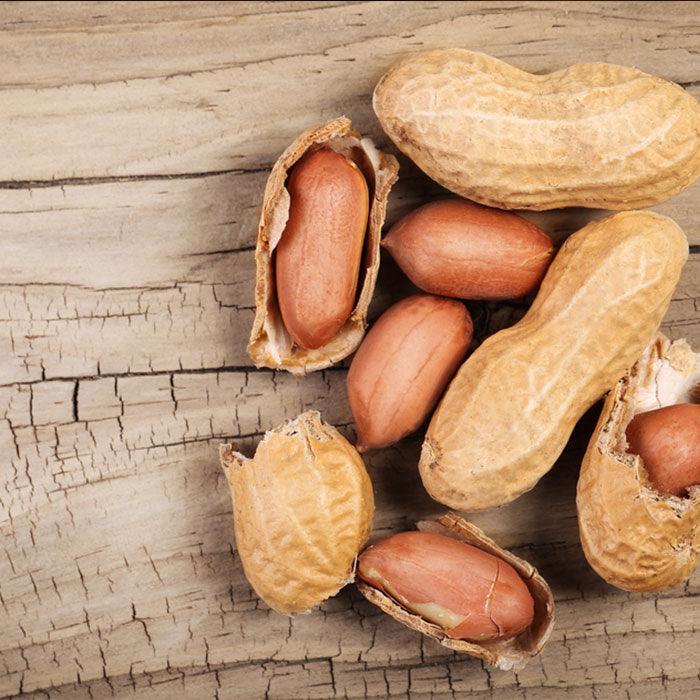 Fıstık ile Yapılan Tatlılar - Çakır Çerez